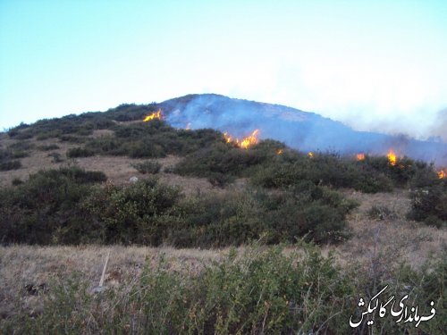 مهار آتش سوزی دو نقطه از جنگل گلستان