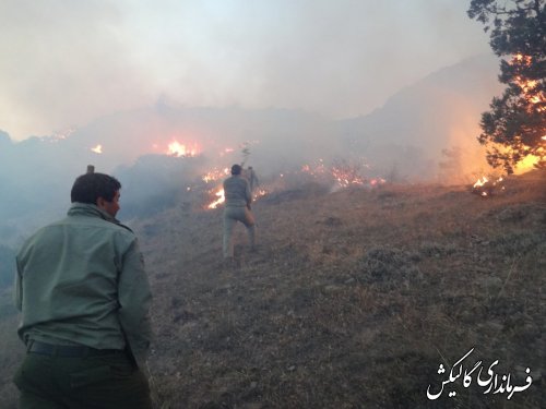 اخبار تکمیلی آتش سوزی پارک ملی گلستان