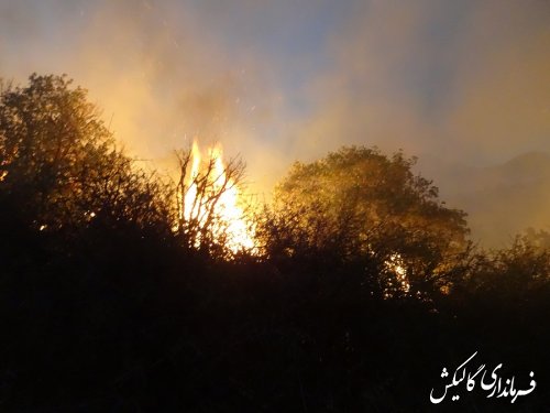 اخبار تکمیلی آتش سوزی پارک ملی گلستان