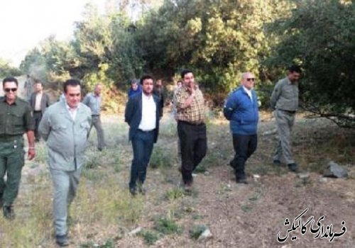 بازدید استاندار گلستان از مناطق خسارت دیده از آتش سوزی پارک ملی گلستان