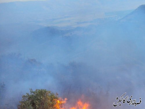 100 هکتار از پارک ملی گلستان گرفتار شعله های سرکش آتش شد