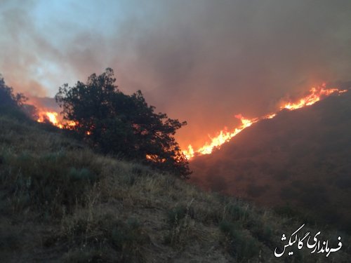 آتش سوزی پارک ملی گلستان