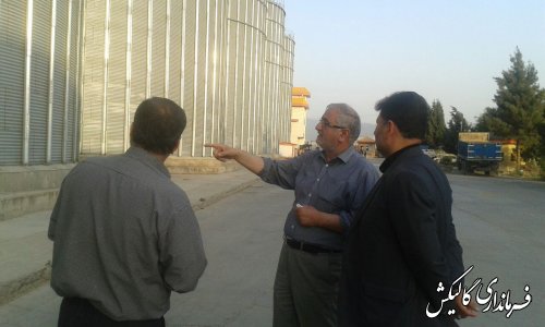بازدید سرزده فرماندار از مراکز خرید گندم (صادق آباد ، ینقاق)