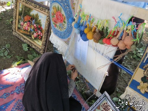 ثبت درخت جوزبخشی فارسیان و جشنواره بومی محلی