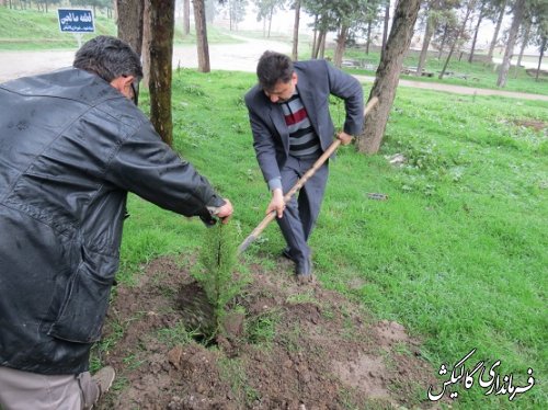 کاشت نهال توسط فرماندار و مسئولین ادارات به مناسبت هفته درختکاری