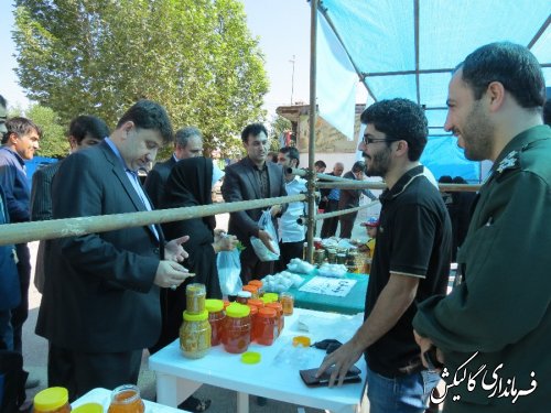 نمایشگاه اقتصاد مقاوتی شهرستان گالیکش افتتاح شد