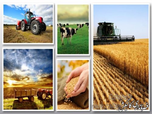 تخصیص 21.3 میلیارد ریال خط اعتباری شماره 5 مکانیزاسیون کشاورزی به شهرستان گالیکش