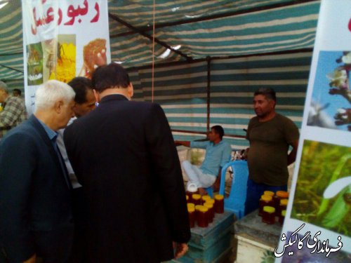 نخستین جشنواره عسل پارک ملی گلستان در شهرستان گالیکش برگزار شد