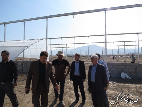 بازدید فرماندار گالیکش از پروژه احداث بزرگترین گلخانه یکپارچه استان