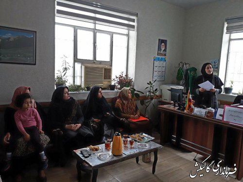 جلسه صندوق خرد زنان روستایی شهرستان گالیکش با حضور اعضای هیئت مدیره برگزار شد