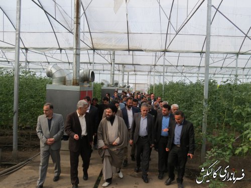 افتتاح بزرگترین گلخانه سبزی و صیفی‌جات یکپارچه استان در شهرستان گالیکش