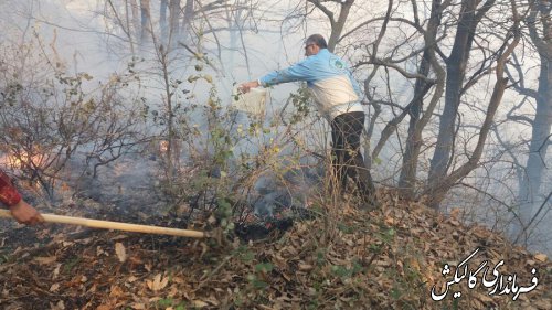 آتش‌ در مناطق جنگلی شهرستان گالیکش مهار شده است