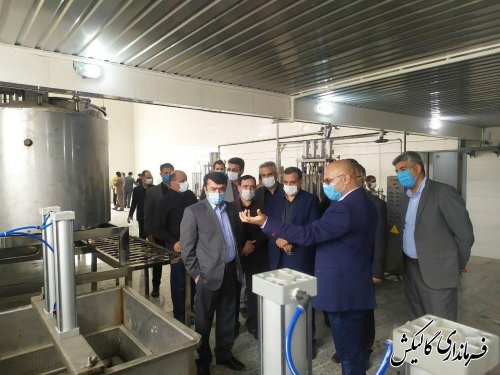 کارخانه تولید لبنیات در شهرستان گالیکش افتتاح شد