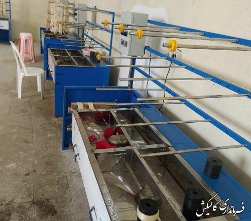 بازدید فرماندار گالیکش از اولین کارگاه تولیدی نخ ابریشم استان گلستان در شهرستان 