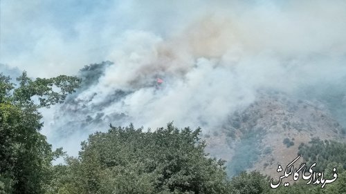 تلاش برای مهار آتش‌سوزی در عرصه‌های جنگلی گالیکش ادامه دارد