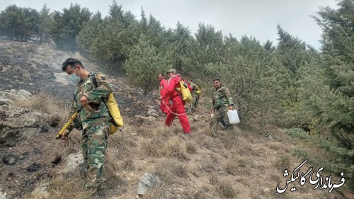 تلاش برای مهار آتش‌سوزی در عرصه‌های جنگلی گالیکش ادامه دارد