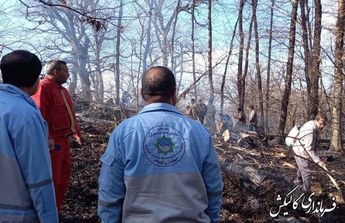 آتش‌سوزی در جنگل‌های پارک ملی گلستان مهار شد 