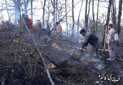 آتش‌سوزی در جنگل‌های پارک ملی گلستان مهار شد 