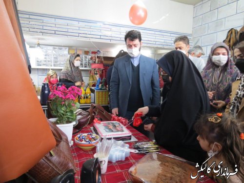 افتتاح فروشگاه صنایع دستی چرم شوکا در گالیکش با حضور فرماندار شهرستان