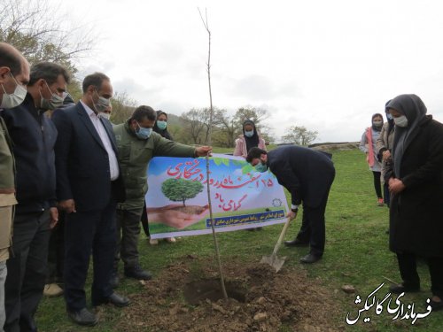 به مناسبت هفته درختکاری 1200 اصله نهال در شهر جدید صادق‌آباد غرس شد