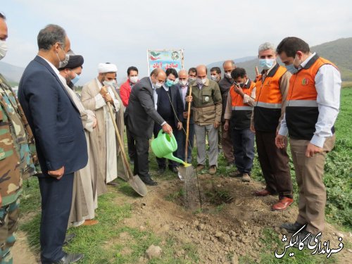 به مناسبت هفته درختکاری 1200 اصله نهال در شهر جدید صادق‌آباد غرس شد