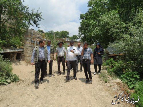 بازدید فرماندار گالیکش از پروژه‌های طرح‌ ترسیب کربن در پنج روستای بخش مرکزی