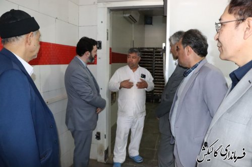 بازدید فرماندار گالیکش از مرغداری و کارخانه جوجه‌کشی ماکیان مهر 