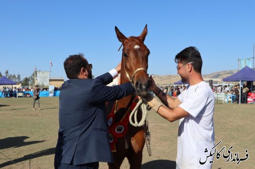 حضور فرماندار گالیکش در هفدهمین جشنواره ملی زیبایی اسب اصیل ترکمن شهرستان کلاله 